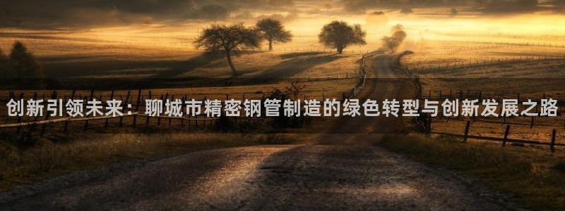 彩神v大众娱乐：创新引领未来：聊城市精密钢管制造的绿色转型与创新发展之路