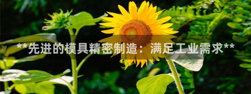 彩神平台能提现吗：**先进的模具精密制造：满足工业需求**