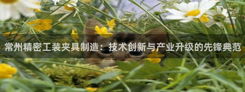 彩神新微聊：常州精密工装夹具制造：技术创新与产业升级的先锋典范