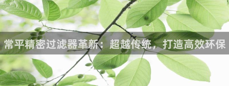 彩神大发是不是人为操作：常平精密过滤器革新：超越传统，打造高效环保