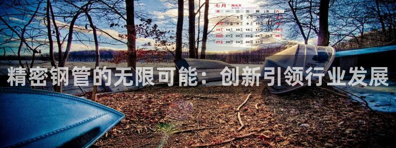 彩神v8平台正规吗：精密钢管的无限可能：创新引领行业发展