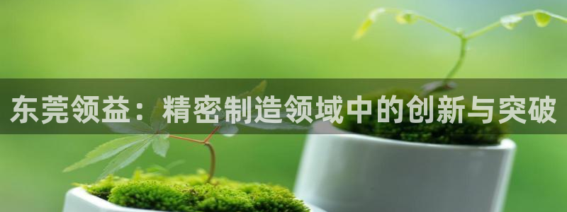 彩神ios下载：东莞领益：精密制造领域中的创新与突破