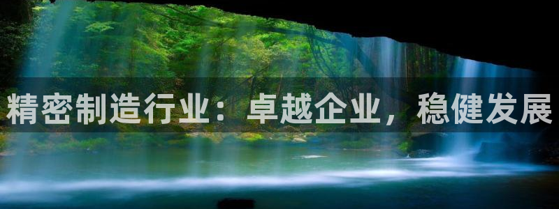 下载彩神通关注金码：精密制造行业：卓越企业，稳健发展