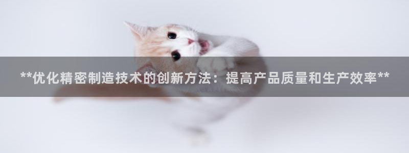 彩神怎么才能赢：**优化精密制造技术的创新方法：提高产品质量和生产效率**