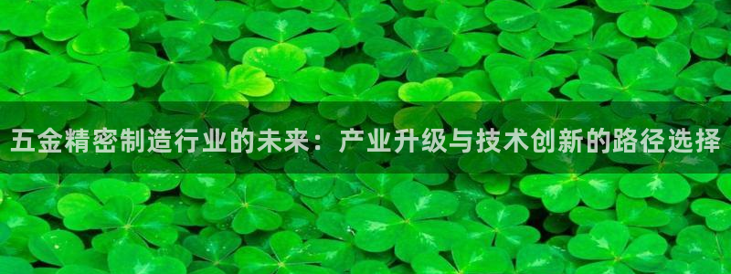 彩神v8平台正规吗：五金精密制造行业的未来：产业升级与技术创新的路径选择