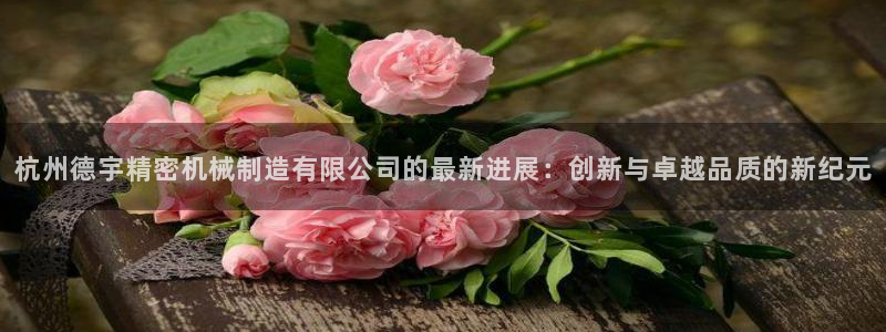 彩神8是正规平台吗：杭州德宇精密机械制造有限公司的最新进展：创新与卓越品质的新纪元