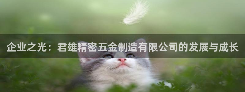 v彩神88iii：企业之光：君雄精密五金制造有限公司的发展与成长