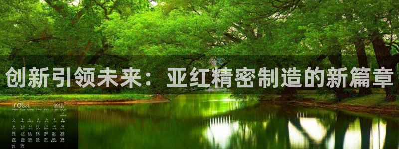 大发彩神最高邀请码：创新引领未来：亚红精密制造的新篇章