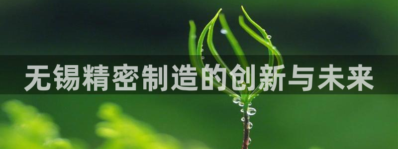 彩神购彩购彩大厅入口v：无锡精密制造的创新与未来