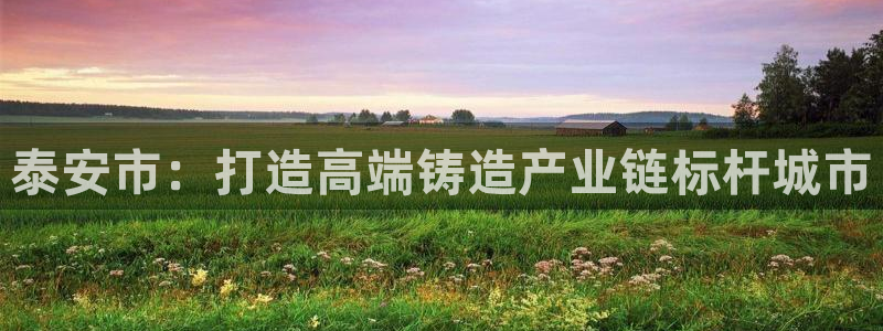 彩神合法吗.是国家认可的吗：泰安市：打造高端铸造产业链标杆城市