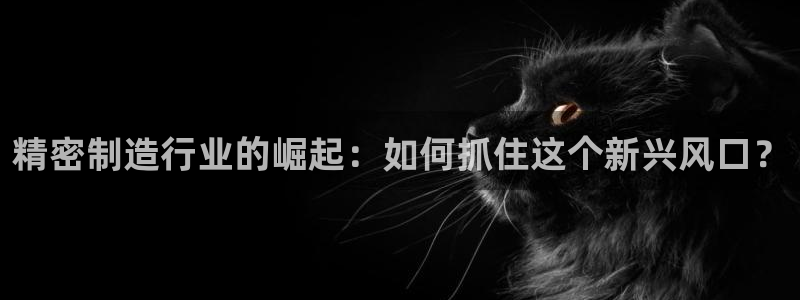 彩神v8是真的挣钱吗知乎：精密制造行业的崛起：如何抓住这个新兴风口？