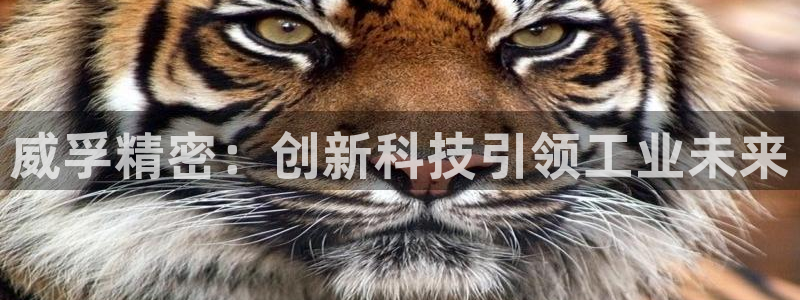 彩神可以提现吗：威孚精密：创新科技引领工业未来