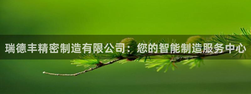 彩神大发云：瑞德丰精密制造有限公司：您的智能制造服务中心