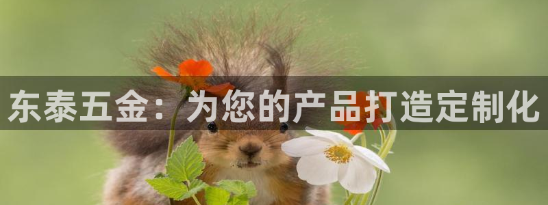 彩神v网赌软件下载：东泰五金：为您的产品打造定制化