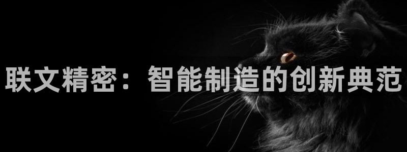 彩神购彩-购彩大厅入口老版：联文精密：智能制造的创新典范