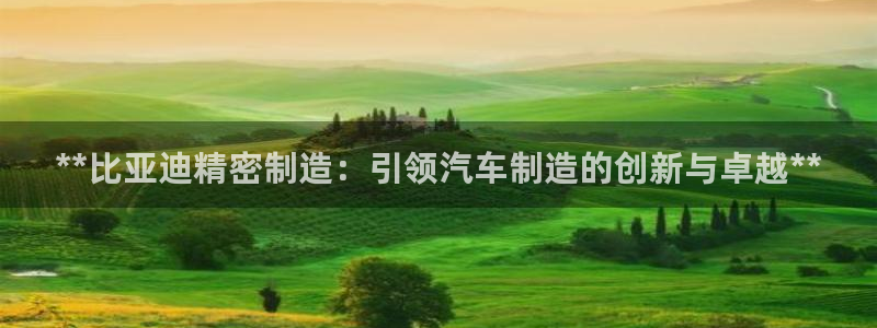 彩神v8下载网址：**比亚迪精密制造：引领汽车制造的创新与卓越**