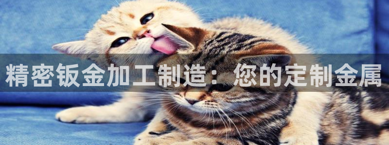 彩神平台注册登录：精密钣金加工制造：您的定制金属