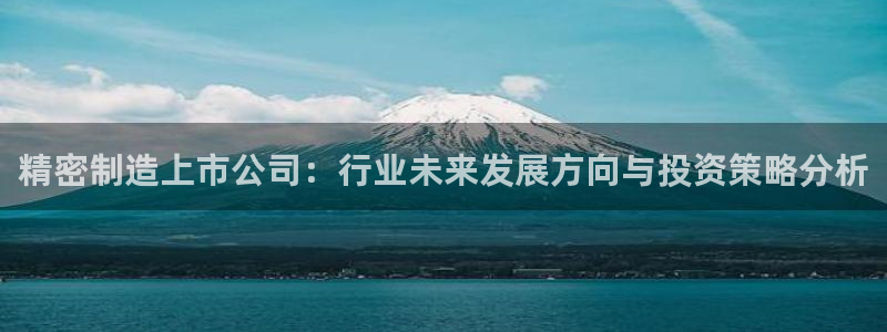 新版彩神v8登录教程：精密制造上市公司：行业未来发展方向与投资策略分析
