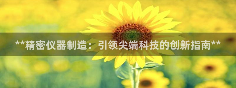 大发彩神官网下载：**精密仪器制造：引领尖端科技的创新指南**
