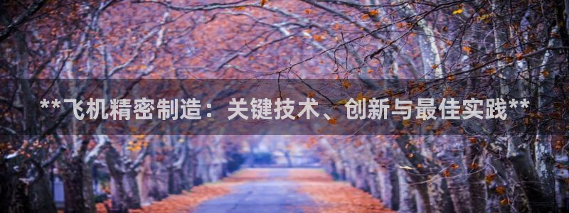 彩神ix平台：**飞机精密制造：关键技术、创新与最佳实践**