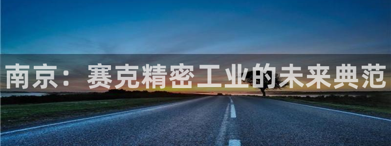 彩神vll购彩大厅大众：南京：赛克精密工业的未来典范