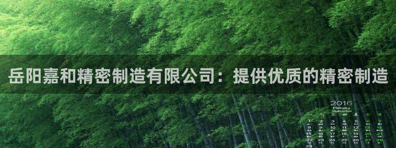 彩神盈利图片：岳阳嘉和精密制造有限公司：提供优质的精密制造
