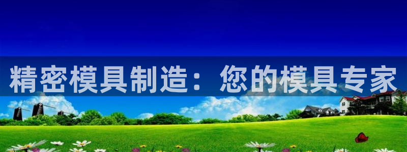 彩神8app官方下载：精密模具制造：您的模具专家