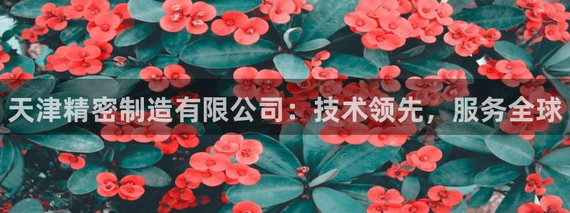 彩神app能挣到钱吗：天津精密制造有限公司：技术领先，服务全球