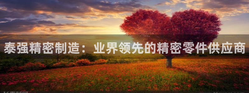 彩神大发cp：泰强精密制造：业界领先的精密零件供应商