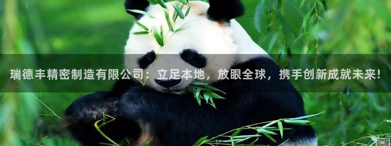 大发彩神争：瑞德丰精密制造有限公司：立足本地，放眼全球，携手创新成就未来!