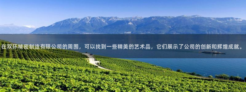 彩神8是正规平台吗：在双环精密制造有限公司的周围，可以找到一些精美的艺术品，它们展示了公司的创新和辉煌成就。