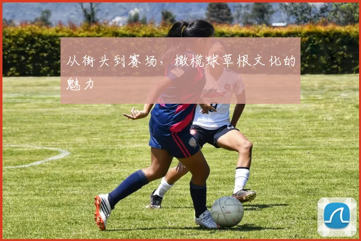 从街头到赛场,橄榄球草根文化的魅力
