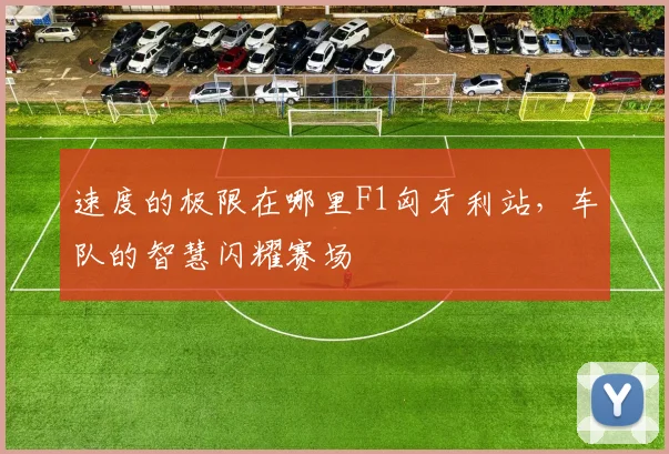 速度的极限在哪里F1匈牙利站,车队的智慧闪耀赛场